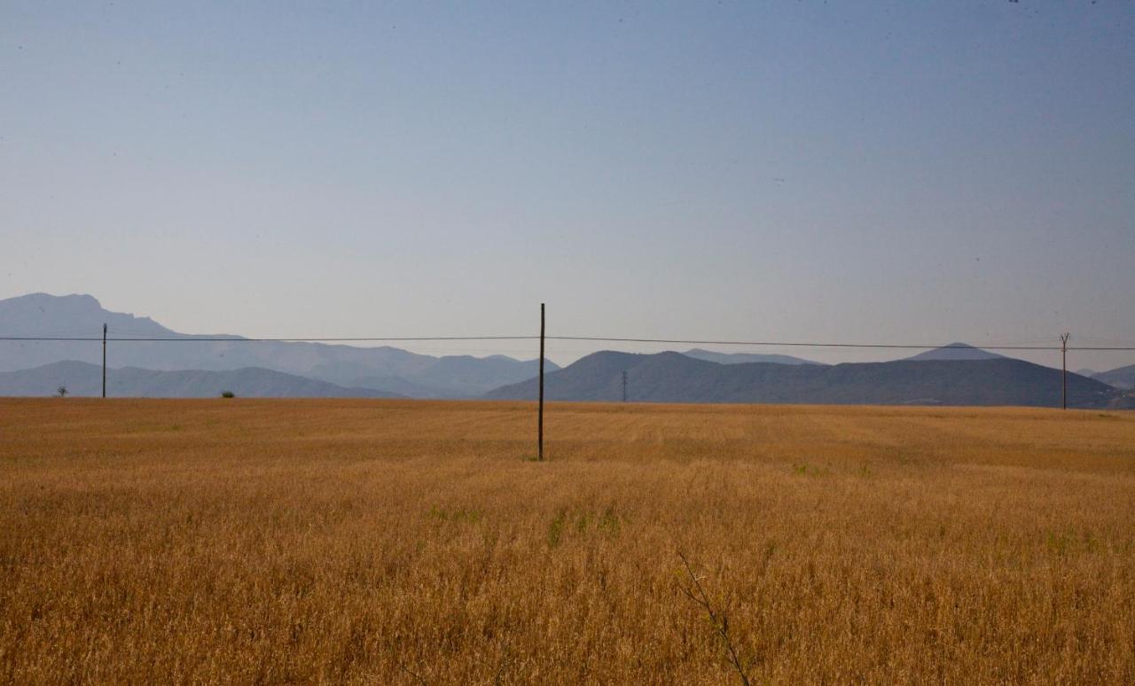 Casa Campo, Casa Rural Entre Jaca Y Anso Biniés Εξωτερικό φωτογραφία